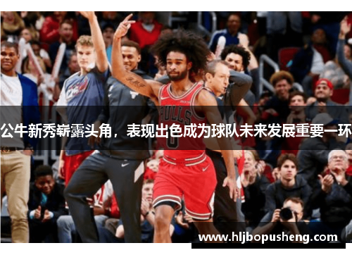 公牛新秀崭露头角，表现出色成为球队未来发展重要一环