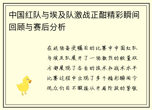 中国红队与埃及队激战正酣精彩瞬间回顾与赛后分析
